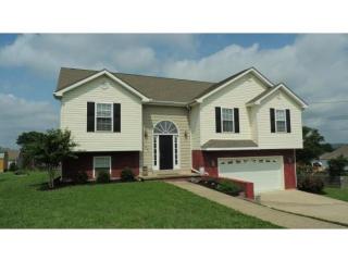 147 Preakness Way, Telford TN  37690-2374 exterior