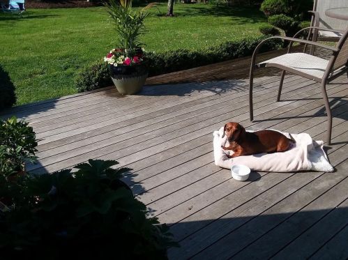 19 Cranberry Ln, Harwich MA 02645-3008 exterior