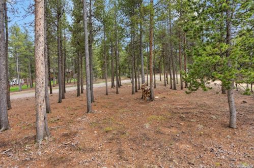 31985 Griffin Dr, Conifer CO  80433-9515 exterior