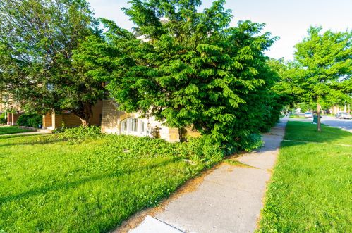 2447 Oak Park Ave, Forest View IL 60402-2530 exterior