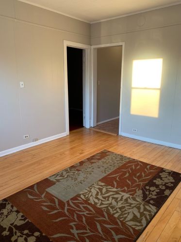 1511 Kenilworth Ave, Forest View IL 60402-2213 exterior