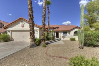 13424 100th Pl, Scottsdale, AZ 85260-7224