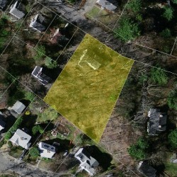 170 Elgin St, Newton MA  02459-2302 aerial view