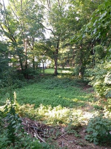 144 May St, Worcester MA 01602-4336 exterior