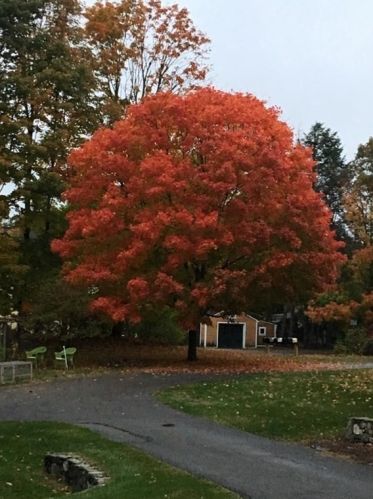 1 Assabet Xing, Acton MA 01720-5237 exterior