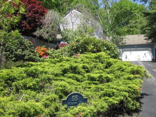 55 Sycamore Dr, Holden, MA 01520-1131