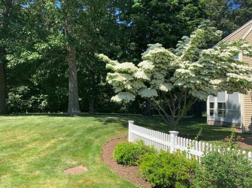 35 Great Hill Dr, Topsfield MA  01983-1435 exterior