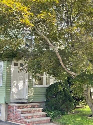 24 Hampden Ave, Burlington MA  01803-4325 exterior