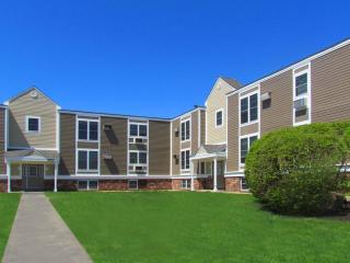 156 Brittany Mnr, Amherst MA  01002-3650 exterior