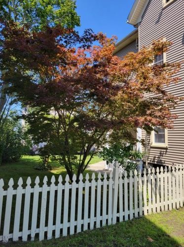 57 Whipple St, Fall River MA 02721-1818 exterior