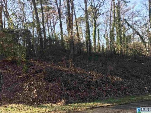 1606 Celinda Ln, Birmingham AL  exterior