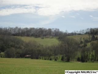 92 Hudson Hollow Rd, Fayetteville, TN 37334-6576