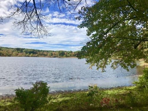 40 Lakeshore Dr, Norfolk, MA 02056-1226