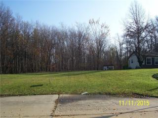 701 Azalea Dr, Cleveland, OH 44143-2854