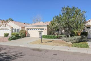 4766 Charleston Ave, Phoenix AZ  85032-9553 exterior