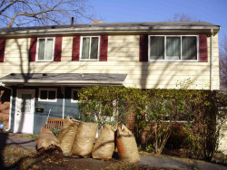 43 Bennington St, Newton, MA 02458-1901