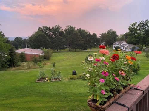 418 Shays St, Amherst MA  01002-2945 exterior