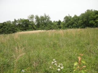 8706 Old Bates Rd, Louisville, KY 40228-2579