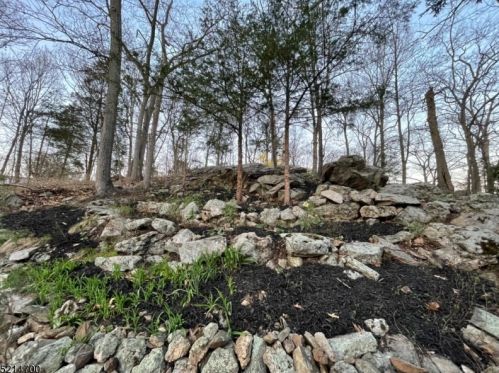 46 Edgewood Rd, Skyline Lakes NJ 07456-1911 exterior