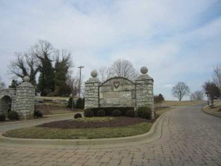 1029 Albatross Way, Gallatin TN  37066-3493 exterior