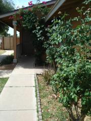 8449 Campbell Ave, Phoenix AZ  85037-1517 exterior