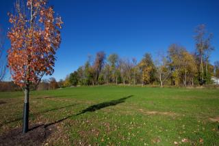 5606 Glenview Falls Pl, Louisville, KY 40222-6189