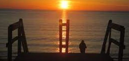 850 Falmouth Hwy, Falmouth MA 02540-2118 exterior