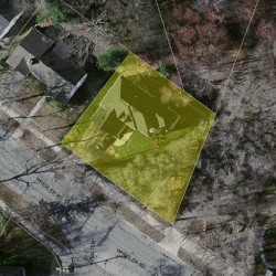 58 Wheeler Rd, Newton MA  02459-3068 aerial view