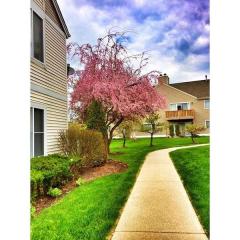 64 Falcon Ridge Way, Hardyston NJ  07419-1152 exterior