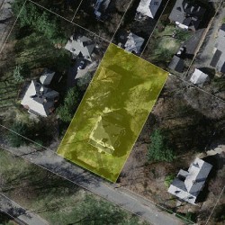 46 Walnut Park, Newton MA 02458-1434 aerial view