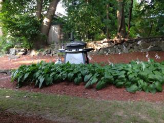 45 Bates Rd, Watertown MA  02472-3479 exterior