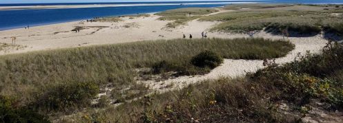 65 Morris Is Rd, Chatham MA 02633-2526 exterior