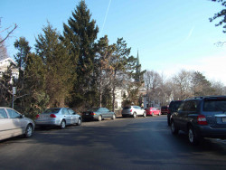 19 Otis Park, Newton, MA 02460-1804