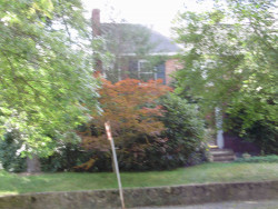 1736 Commonwealth Ave, Newton, MA 02465-2823