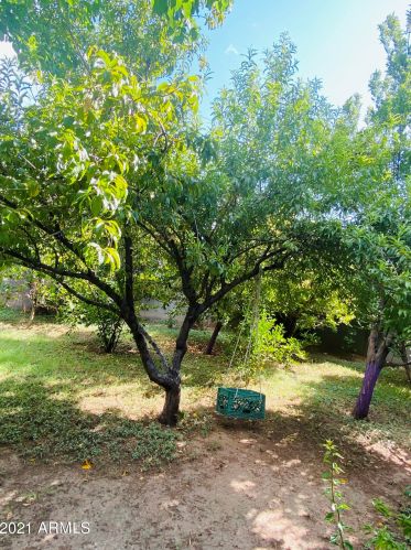 4109 Catalina Dr, Phoenix AZ 85031-3841 exterior