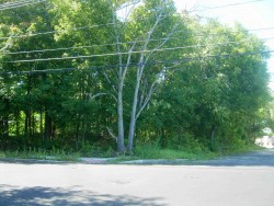 289 Newtonville Ave, Newton, MA 02460-2014