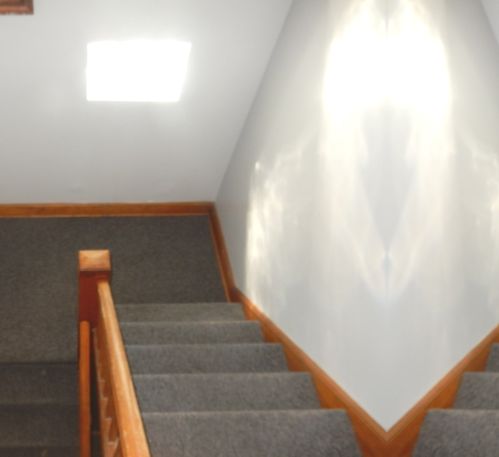 1845 Grv Ave, Forest View IL 60402-1747 exterior