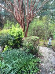 7739 Balla Ct, Richmond VA  23228-6343 exterior