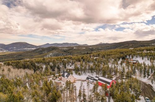 31551 Black Widow Dr, Conifer CO 80433-9614 exterior