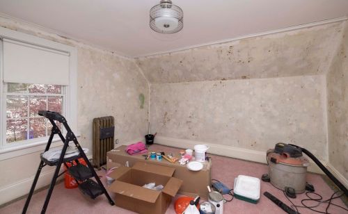 48 Waverly St, Taunton MA  02780-1447 exterior