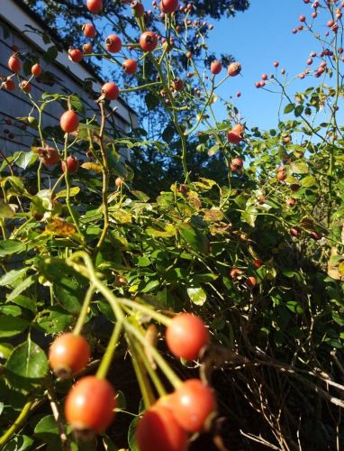 65 Morris Is Rd, Chatham MA 02633-2526 exterior