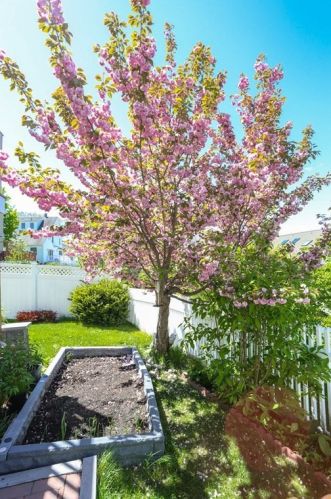 17 Dale St, Needham MA 02494-1217 exterior