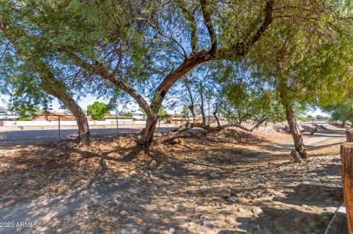 7002 42nd St, Phoenix AZ 85032-2205 exterior