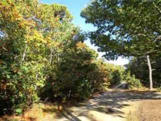 45 Fairview Ave, Eastham MA  02642-2241 exterior