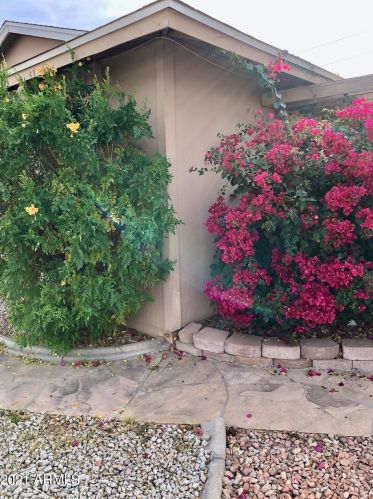 5438 46th Pl, Phoenix, AZ 85040-4114