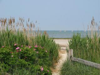 52 Dyer Prince Rd, Eastham, MA 02642-3412