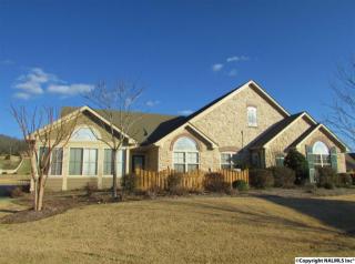 72 Laurel Ln, Brownsboro AL  35741-9616 exterior