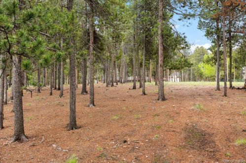 31985 Griffin Dr, Conifer CO  80433-9515 exterior