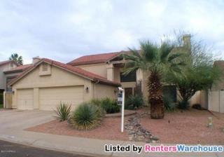 13405 38th St, Phoenix AZ  85044-8204 exterior