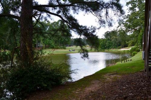 139 Cambrian Way, Birmingham AL  35242-4002 exterior